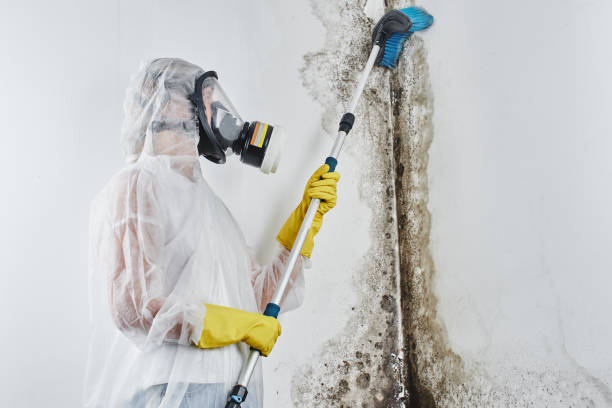 Water Damage Restoration in New Milford, NJ