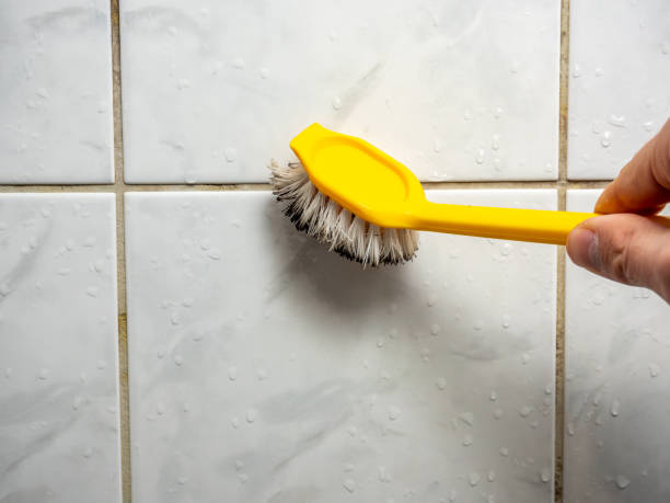 Best Local Mold Removal Service  in New Milford, NJ